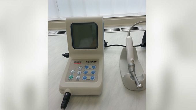 РАИСА ЛЕВЕРТОВА