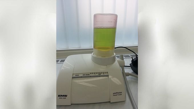 РАИСА ЛЕВЕРТОВА